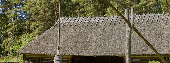 Ausflugsziel: Freilichtmuseum Germanisches Gehöft Elsarn