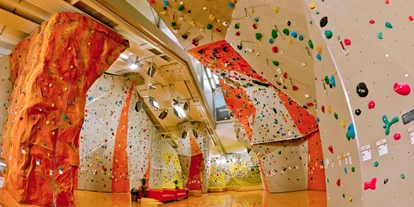 Ausflug mit Kindern - Langenzersdorf - Alpenverein Austria Kletteranlage Klosterneuburg