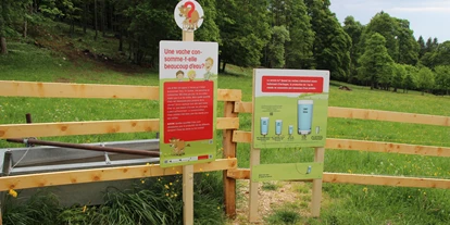 Reis met kinderen - Le Noirmont - Erlebnisweg "Lea und Ben bei den Mutterkühen" in Saignelégier (JU)