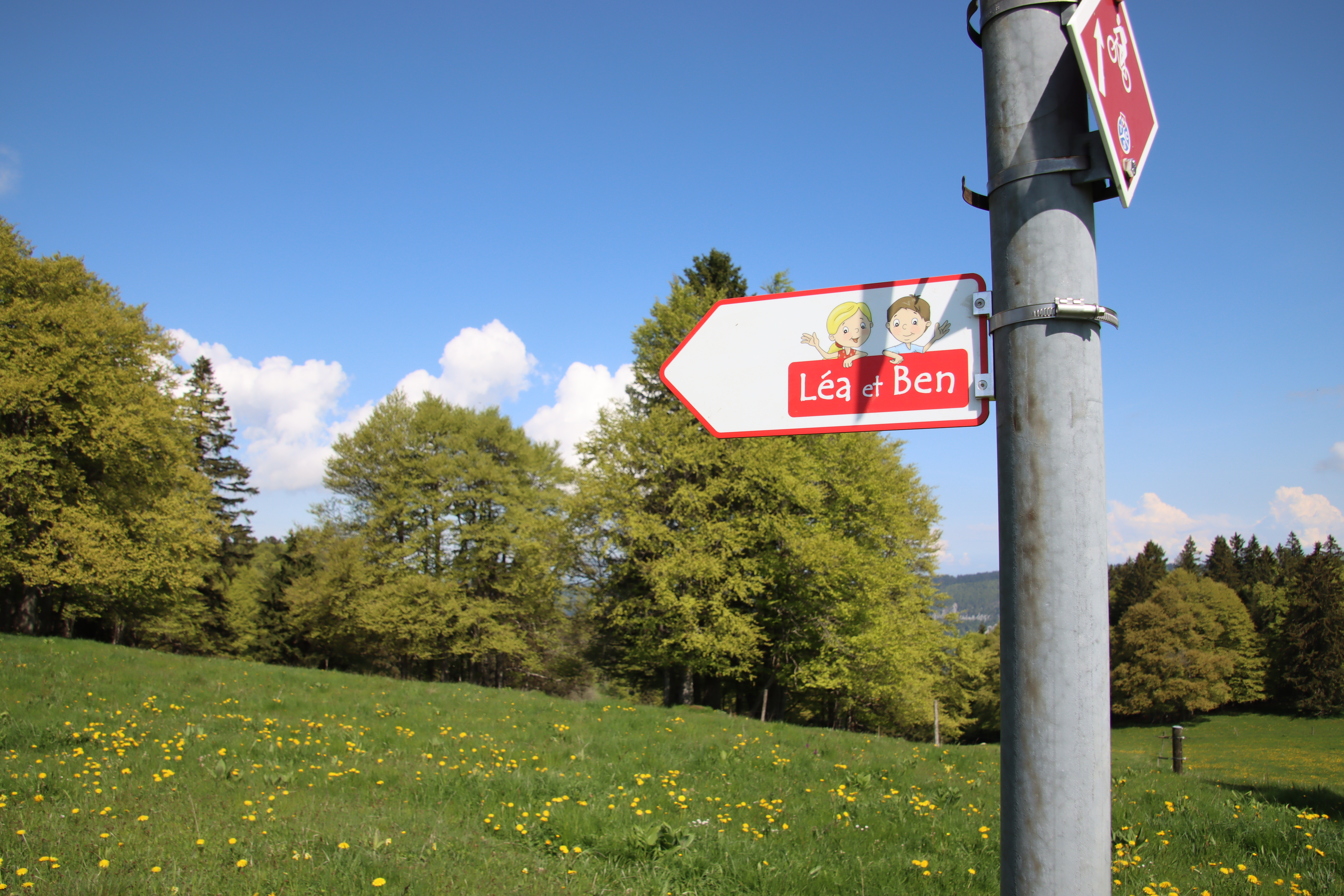 Ausflugsziel: Erlebnisweg "Lea und Ben bei den Mutterkühen" in Saignelégier (JU)