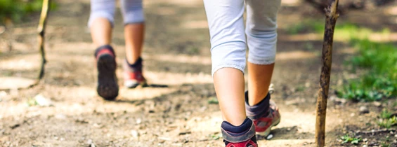 Ausflugsziel: Bambiniwanderweg mit Waldlabyrinth