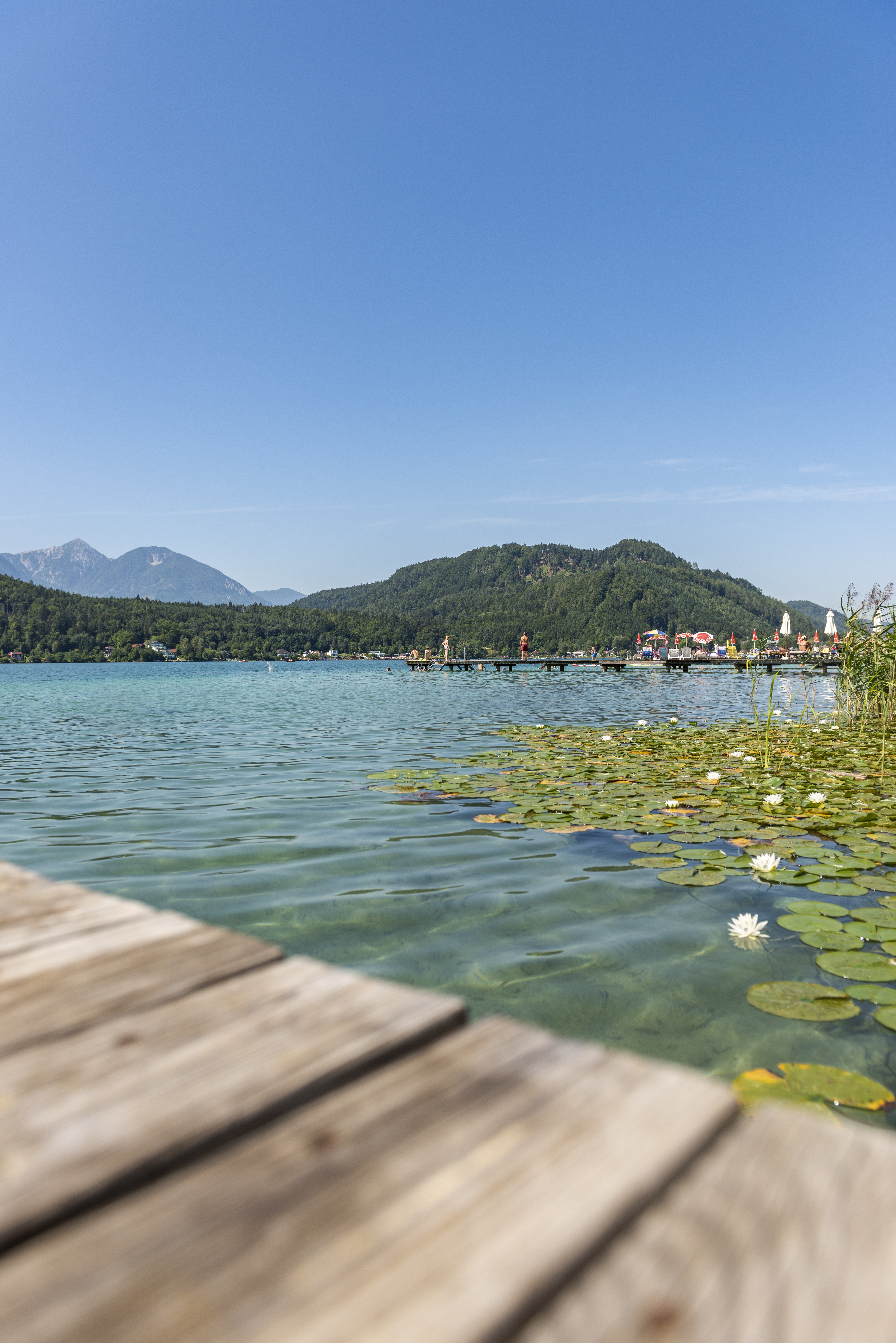 Urlaub: Klopeiner See - Südkärnten