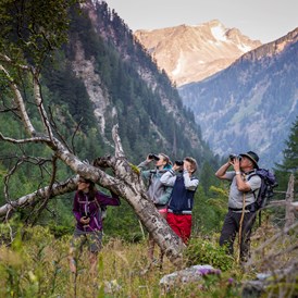 Urlaub: Wildnistour mit Nationalpark Ranger - Hohe Tauern - Die Nationalpark-Region in Kärnten