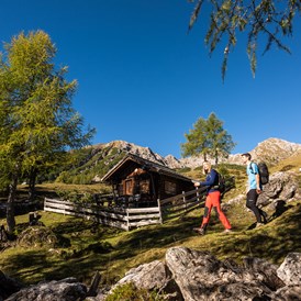 Urlaub: Almen in der Region - Hohe Tauern - Die Nationalpark-Region in Kärnten