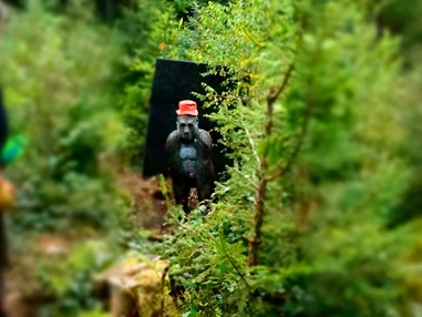 Ausflugsziel: Bogensportzentrum Breitenstein