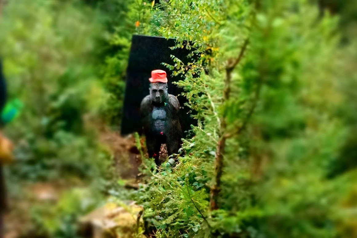 Ausflugsziel: Bogensportzentrum Breitenstein