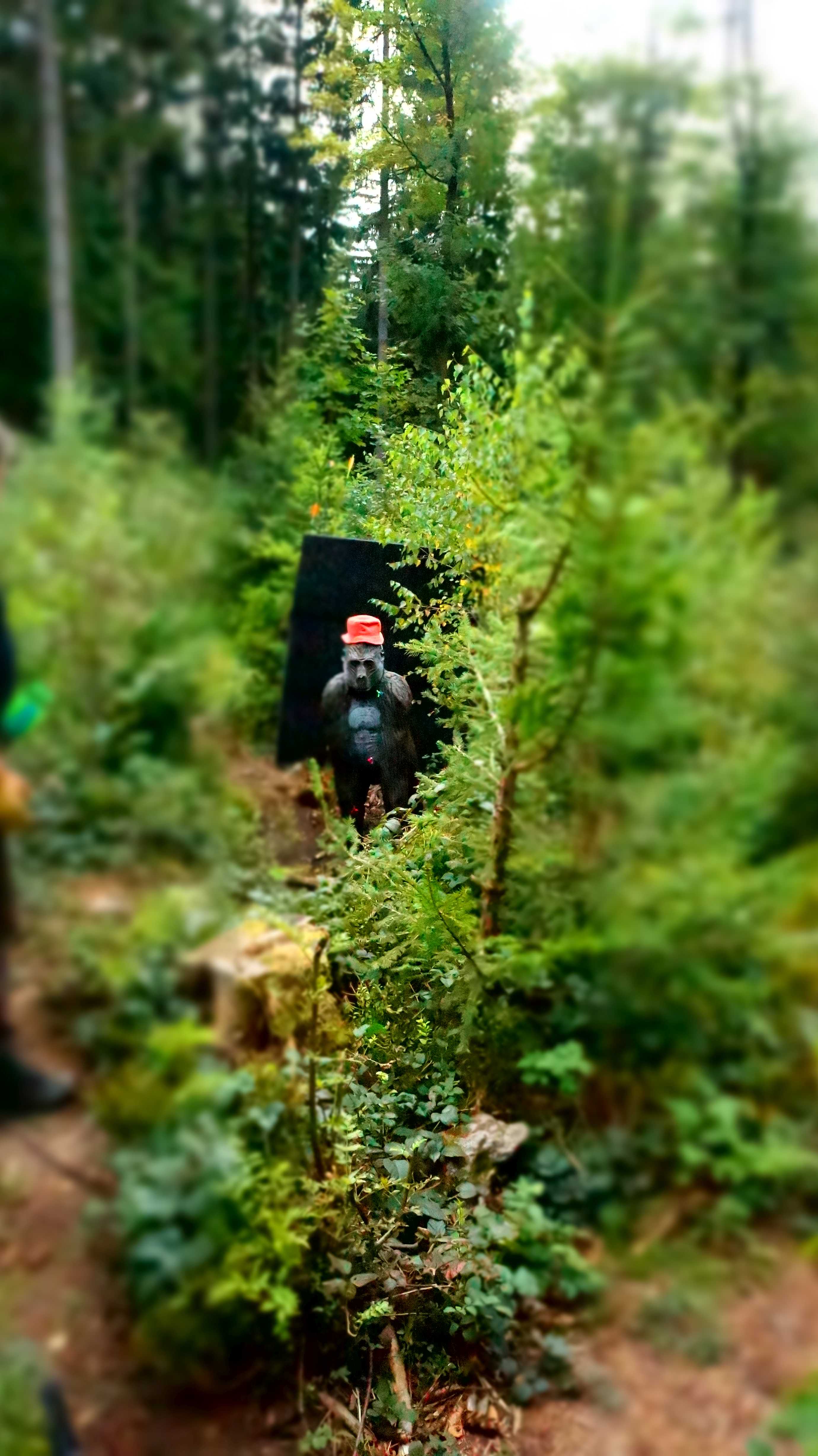 Ausflugsziel: Bogensportzentrum Breitenstein