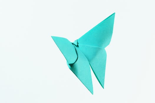 Viaggio con bambini - Alter der Kinder: 6 bis 10 Jahre - Ernstbrunn - Origami - die Kunst des Papierfaltens