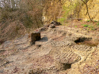 Ausflugsziel: Heimathaus Stadtmuseum Perg