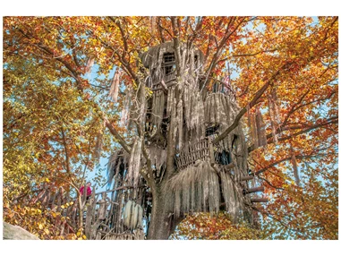 Ausflugsziel: Wildgarten mit Unterwasserbeobachtungstation