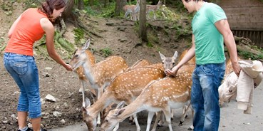 Ausflug mit Kindern - Alter der Kinder: 6 bis 10 Jahre - Waldmünchen - Rehe füttern erlaubt - Ausflugspark Steinbruchsee