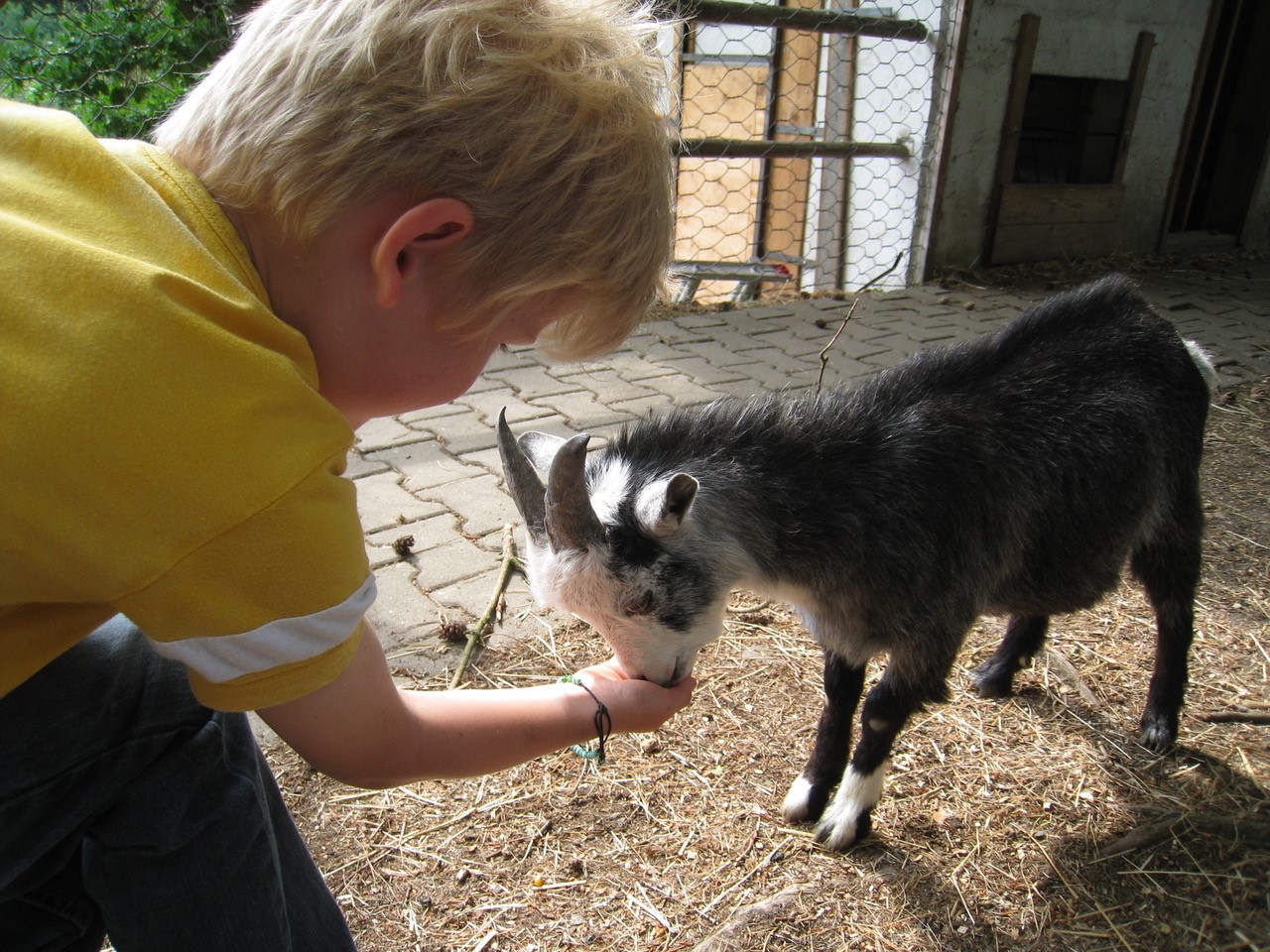 Viaggio con bambini - Alter der Kinder: 6 bis 10 Jahre - Bayerischer Wald - Ein Spaß für die Kleinen - Ausflugspark Steinbruchsee