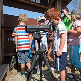 Ausflugsziel: Drachensee mit Vogelbeobachtungsstation - Drachensee bei Furth im Wald