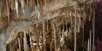 Ausflug mit Kindern - Oststeiermark - Tropfsteinhöhle Katerloch