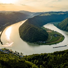 Urlaub: Donauschlinge in Schlögen - Donauregion in Oberösterreich