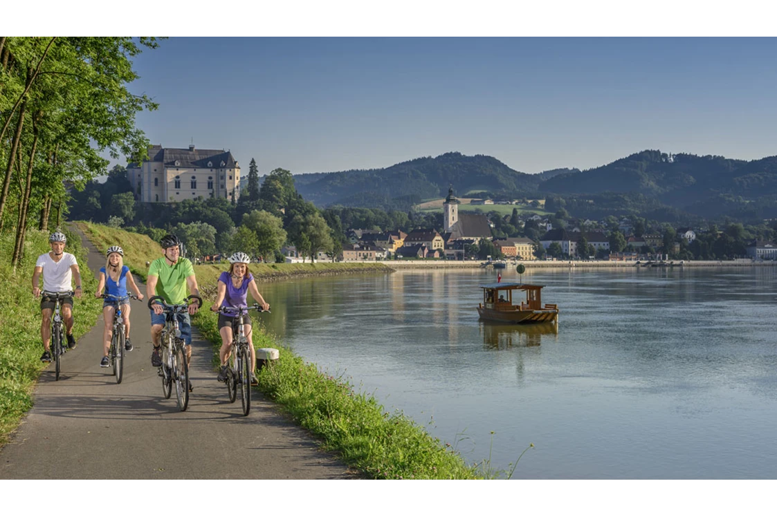 Urlaub: Donauradweg bei Grein - Donauregion in Oberösterreich