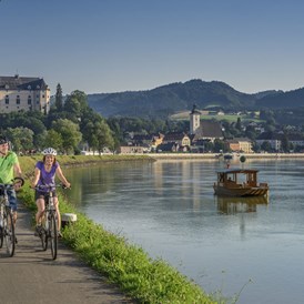 Urlaub: Donauradweg bei Grein - Donauregion in Oberösterreich