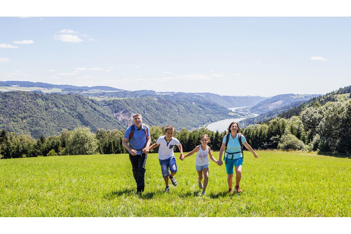 Urlaub: Familienerlebnisse in der Donauregion in Oberösterreich: Sauwald Panoramastraße - Donauregion in Oberösterreich