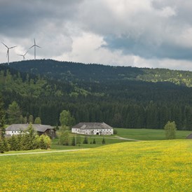 Urlaub: Landschaft Dürnau
Blick Richtung Windpark Vorderweißenbach - Mühlviertler Hochland