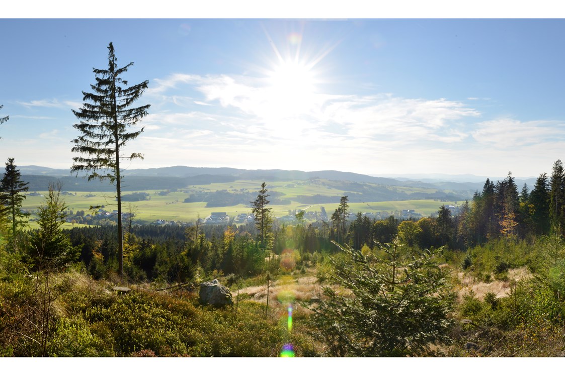 Urlaub: Blick vom Sternstein - Mühlviertler Hochland