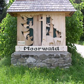 Urlaub: Moorwaldweg - Mühlviertler Hochland
