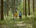 Urlaub: Egal ob mit Hund, Kindern oder einfach alleine. Der Hallerwald in der Nachbargemeinde Adlwang lädt zum Waldbaden mit seinen Stationen. - Bad Hall