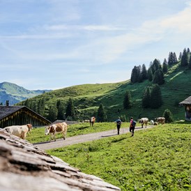Urlaub: Großes Walsertal - Alpenregion Vorarlberg