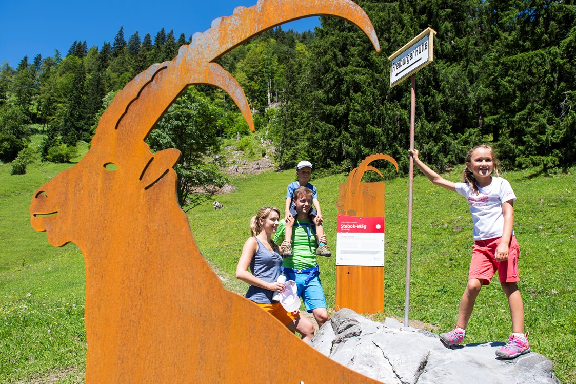 Urlaub: Stebok Wäg Klostertal - Alpenregion Vorarlberg