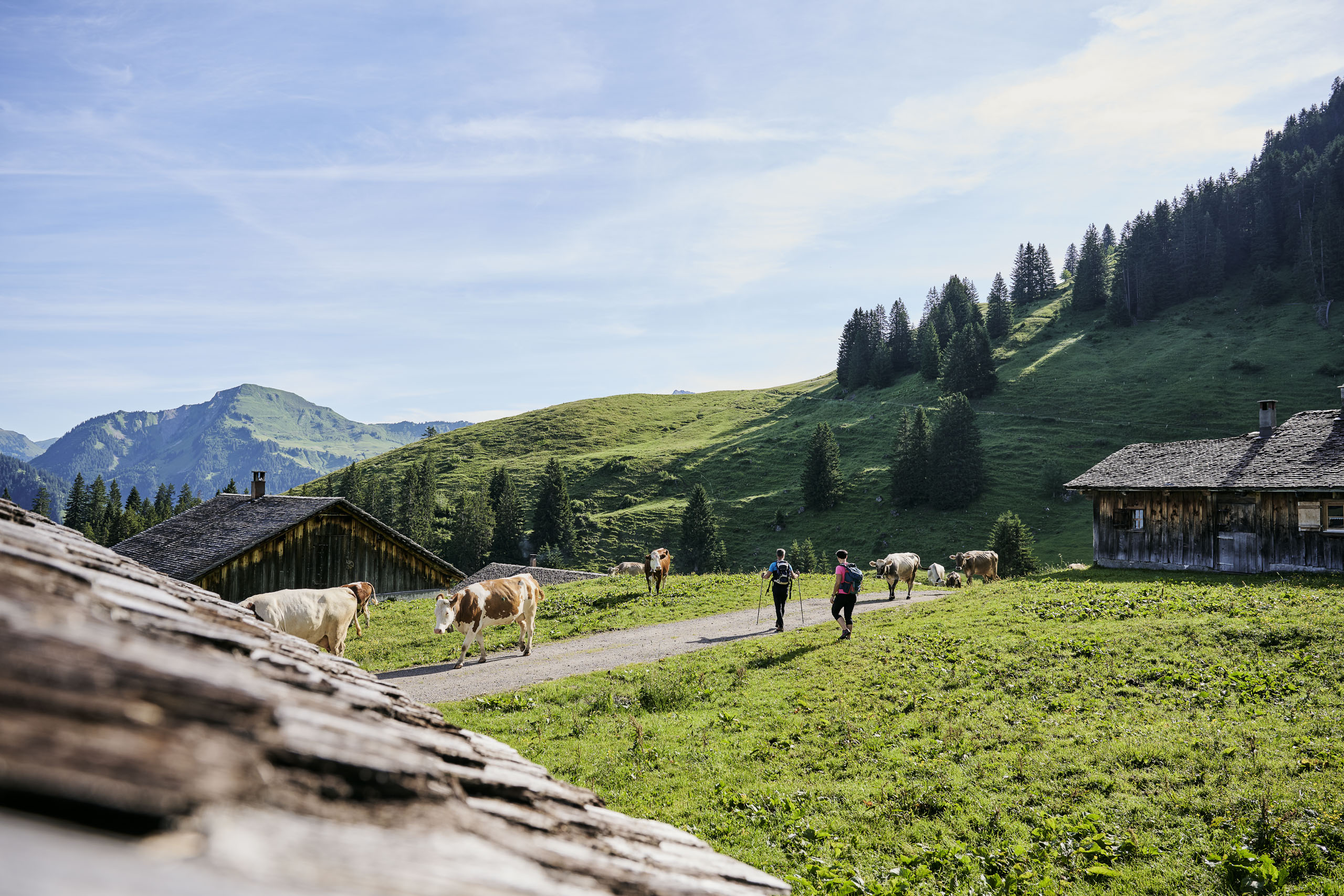 Urlaub: Großes Walsertal - Alpenregion Vorarlberg