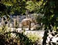 Urlaub: Tiergarten Schönbrunn - Wien