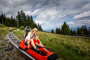 Urlaub: Sommerrodelbahn am Schöckl - Erlebnisregion Graz