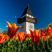 Ausflugsziel - Der Grazer Uhrturm - Erlebnisregion Graz
