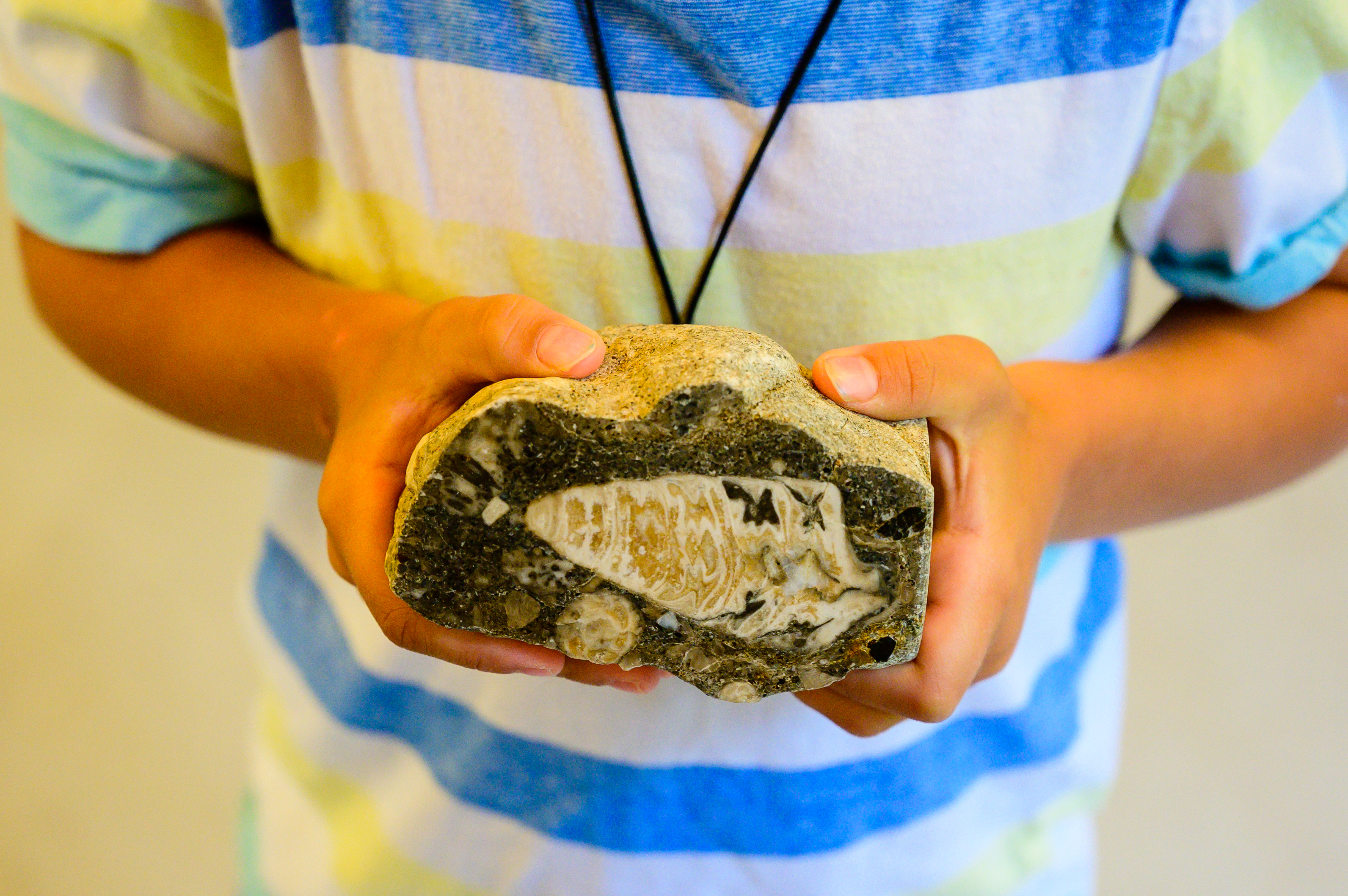 Ausflugsziel: geschliffener und geschnittener Stein - Geopfad Gams