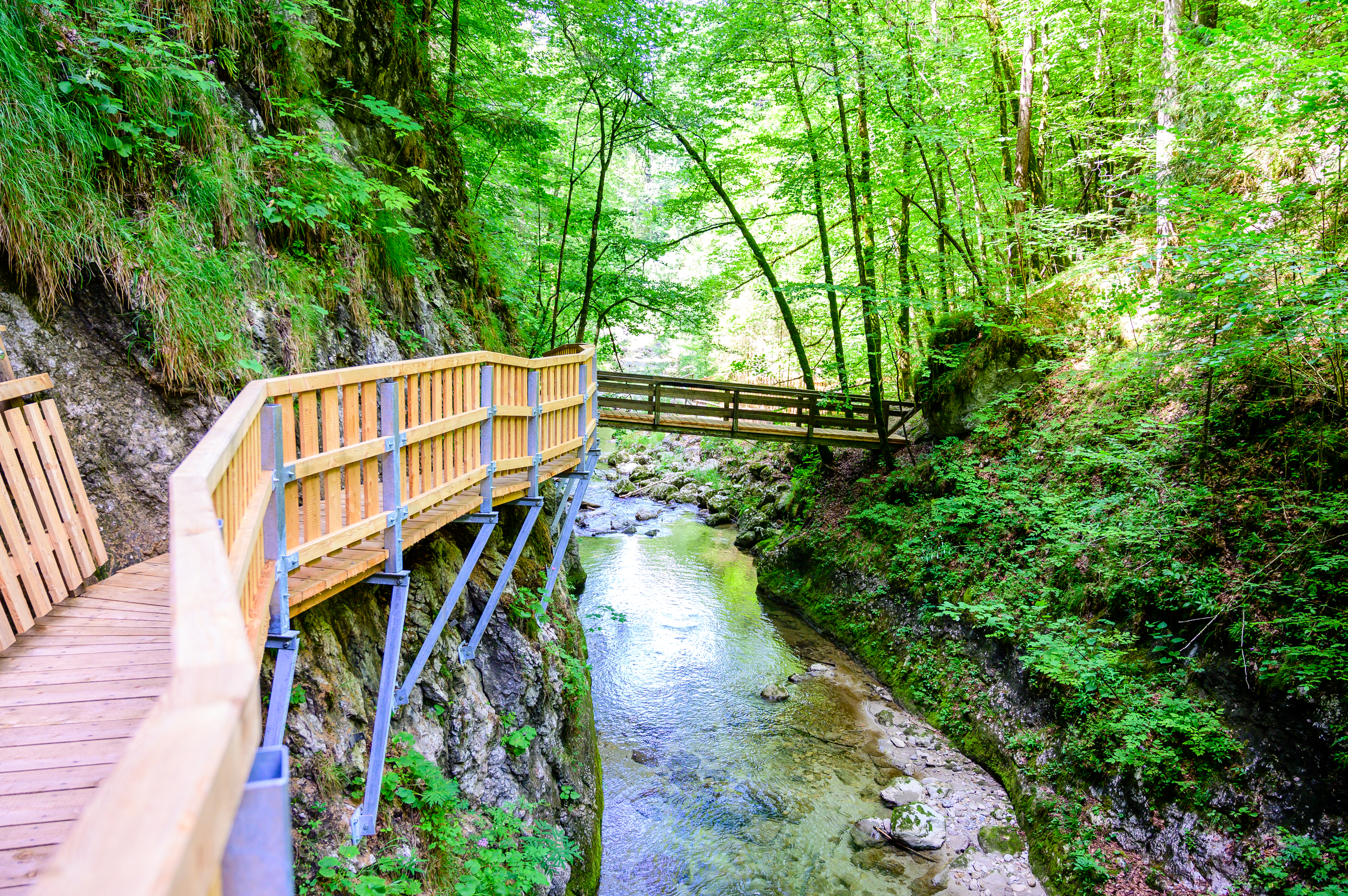 Ausflugsziel: Geopfad Gams