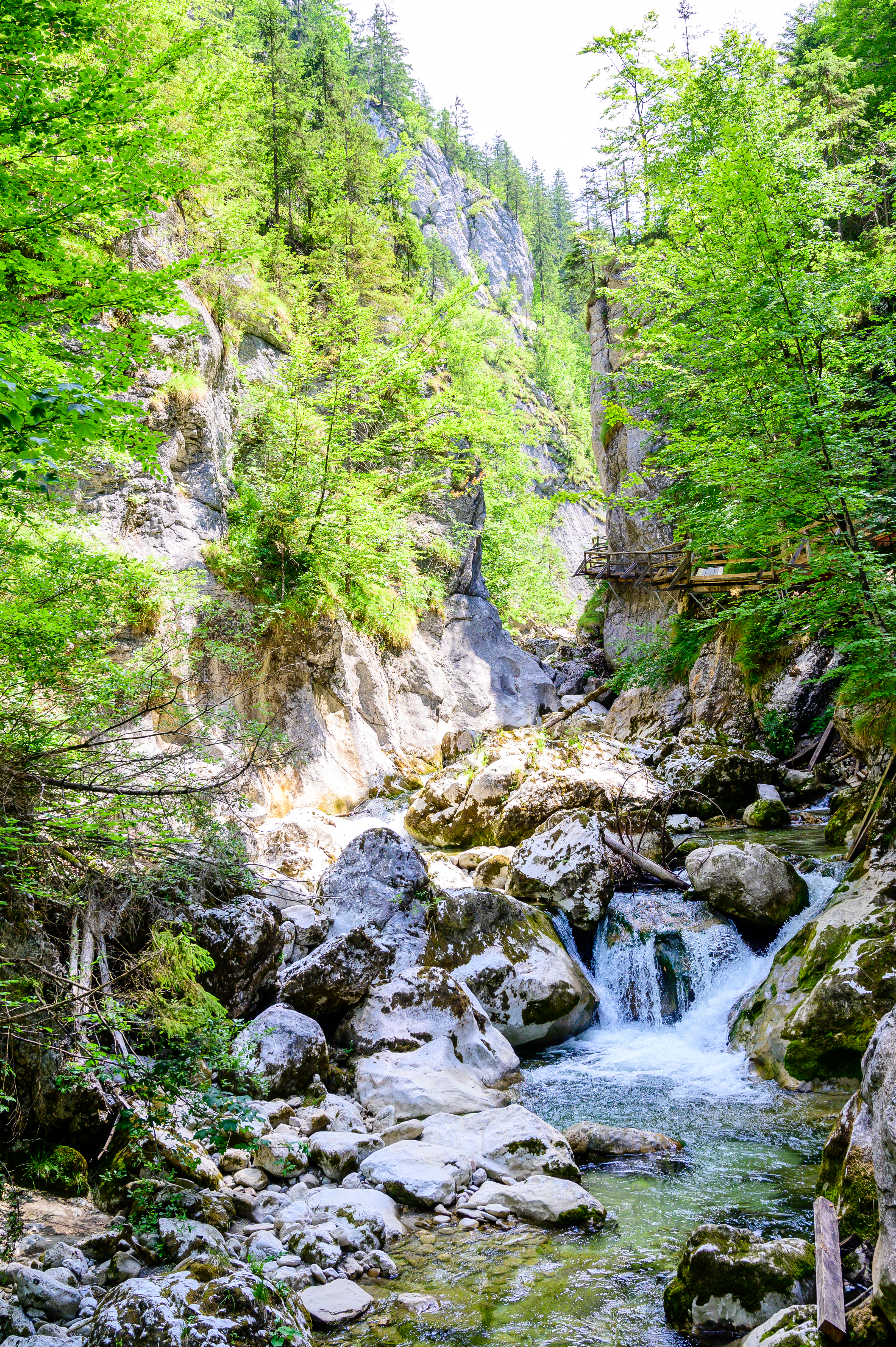 Ausflugsziel: Geopfad Gams