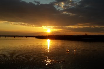 Urlaub: Sonnenuntergang am Neusiedler See  - Neusiedler See