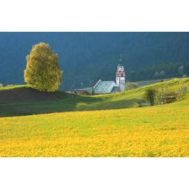 Urlaub: Tirol Urlaub & Ferien in Österreich - Region Hall-Wattens