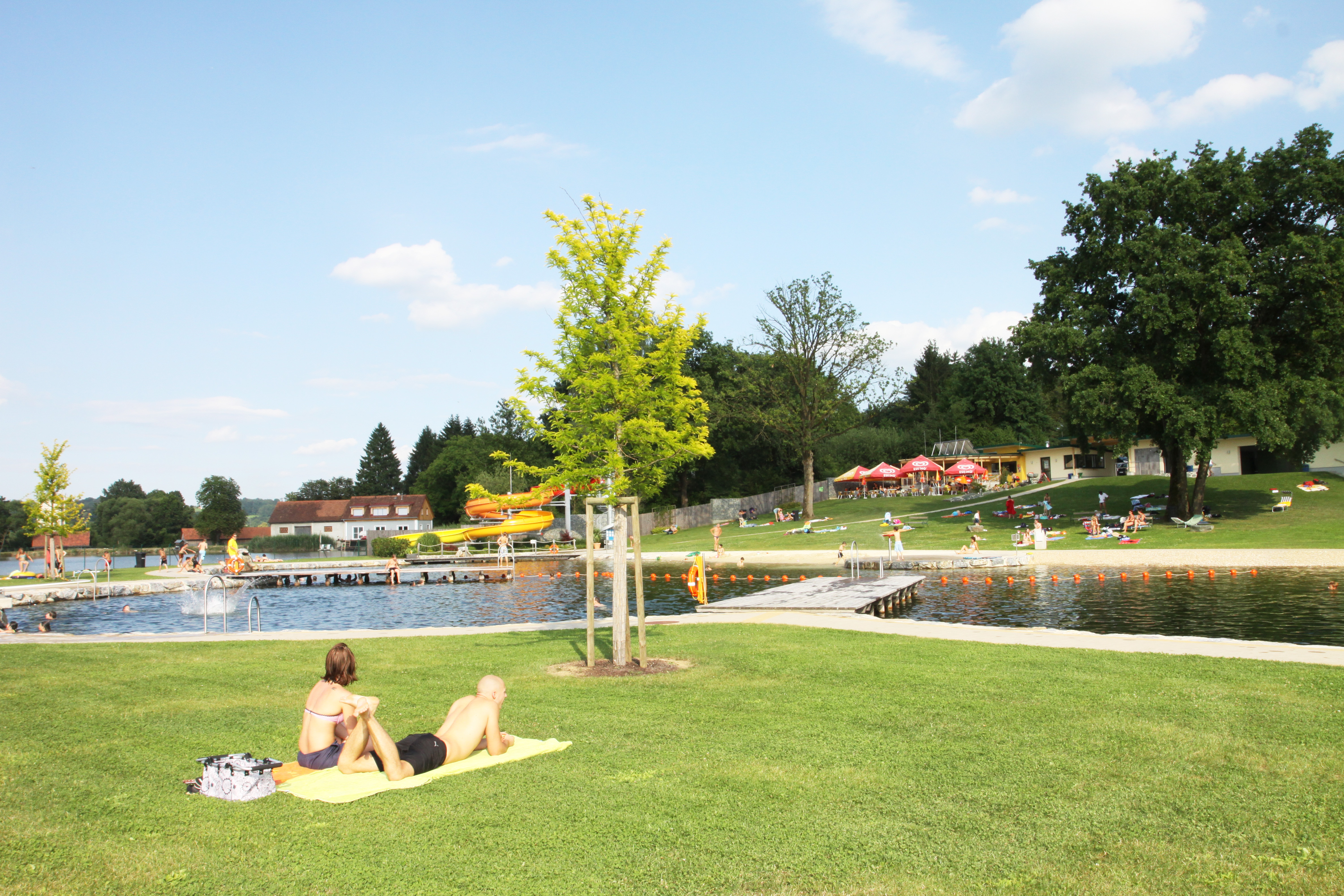 Ausflugsziel: Seerosenbad Kirchberg an der Raab