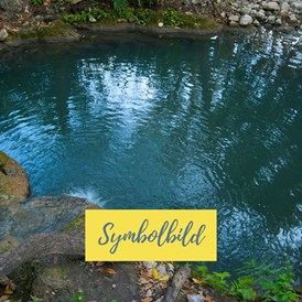 Ausflugsziel: Symbolbild für Ausflugsziel Naturschwimmbad Türnitz. Keine korrekte oder ähnlich Darstellung! - Naturschwimmbad Türnitz