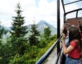 Ausflugsziel: Aussichtswagen (c)NB-Kainz - Erlebniszug Ötscherbär