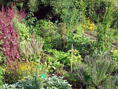 Ausflugsziel: Steinschaler Naturgärten