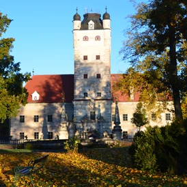 Ausflugsziel: Schloss Greillenstein am Frühen Morgen - Renaissanceschloss Greillenstein