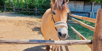 Voyage avec des enfants - Rappoltenkirchen - Vienna Kids Farm