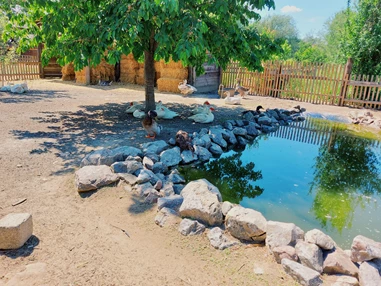 Ausflugsziel: Vienna Kids Farm
