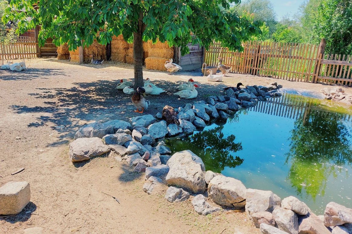 Ausflugsziel: Vienna Kids Farm