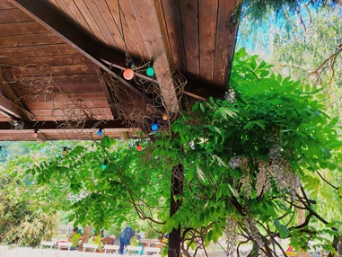 Ausflugsziel: Vienna Kids Farm