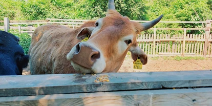 Voyage avec des enfants - Rappoltenkirchen - Vienna Kids Farm