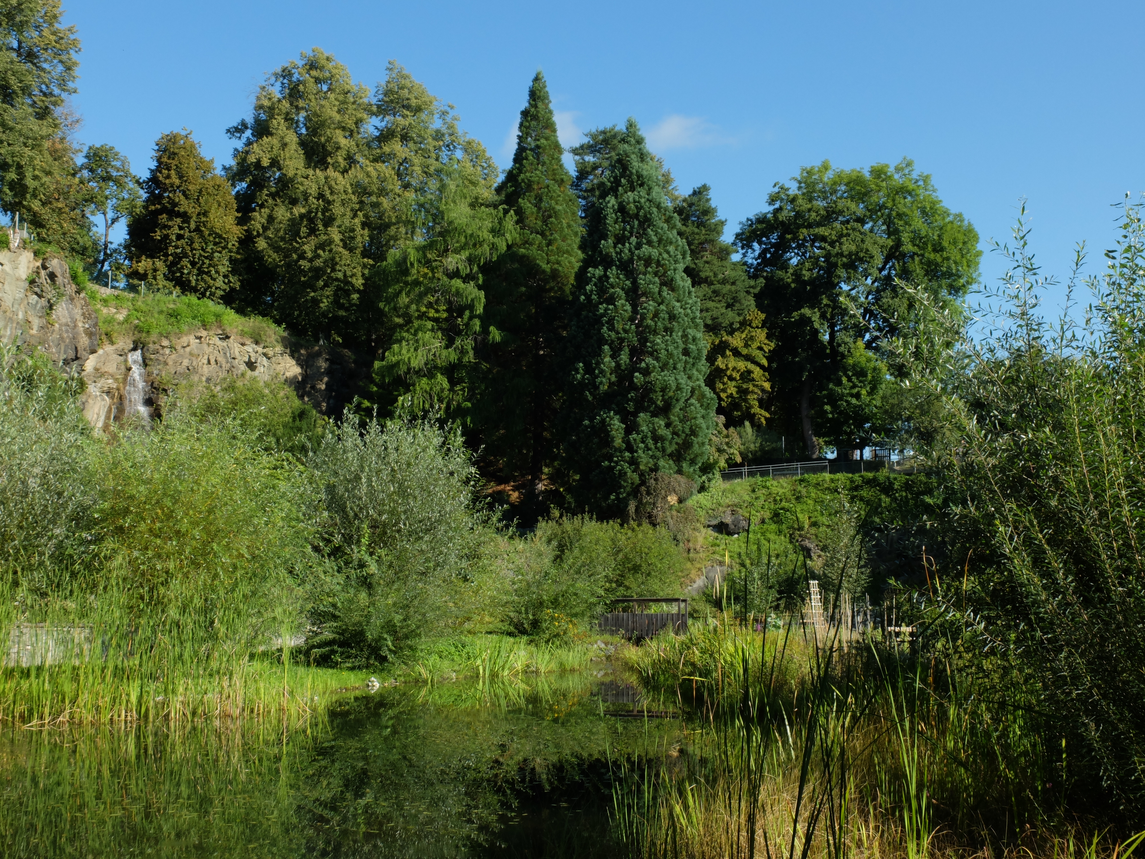 Ausflugsziel: Kärntner Botanikzentrum – Botanischer Garten