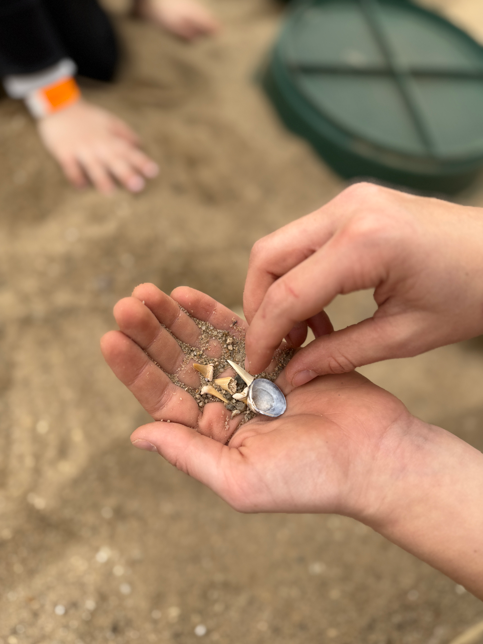 Ausflugsziel: Fossilienwelt