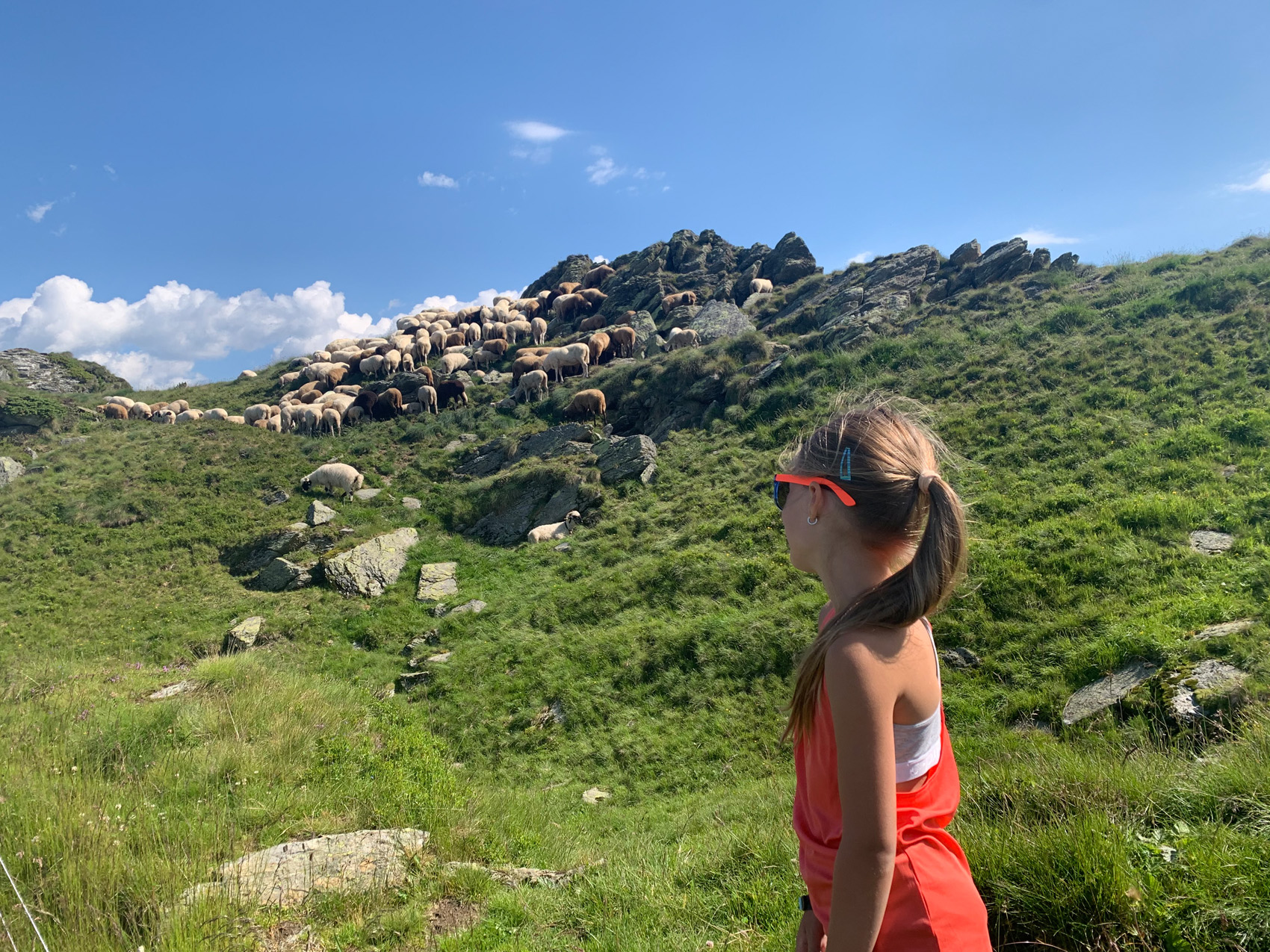 Ausflugsziel: Abwechslungsreiches Wochenprogramm lockt in luftige Höhen